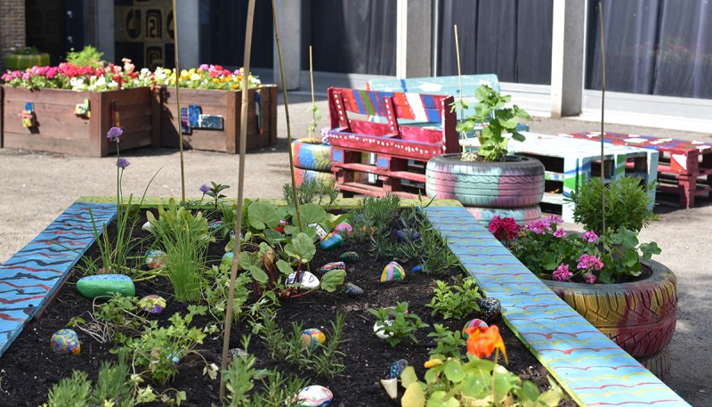 Détail des mini-jardins colorés sur le cour, et les meubles en bois colorés